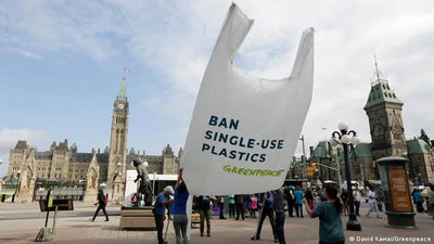 Did Canada Ban Single Use Plastics? - Here's Everything You Need To Know.