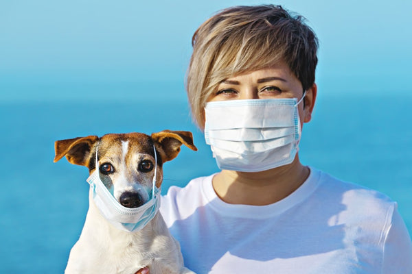 Viruses & Bacteria: What They Are & How To Stop The Bad Ones