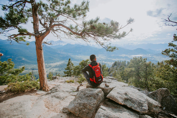 3 Ways COVID-19 Has Positively Impacted the Environment