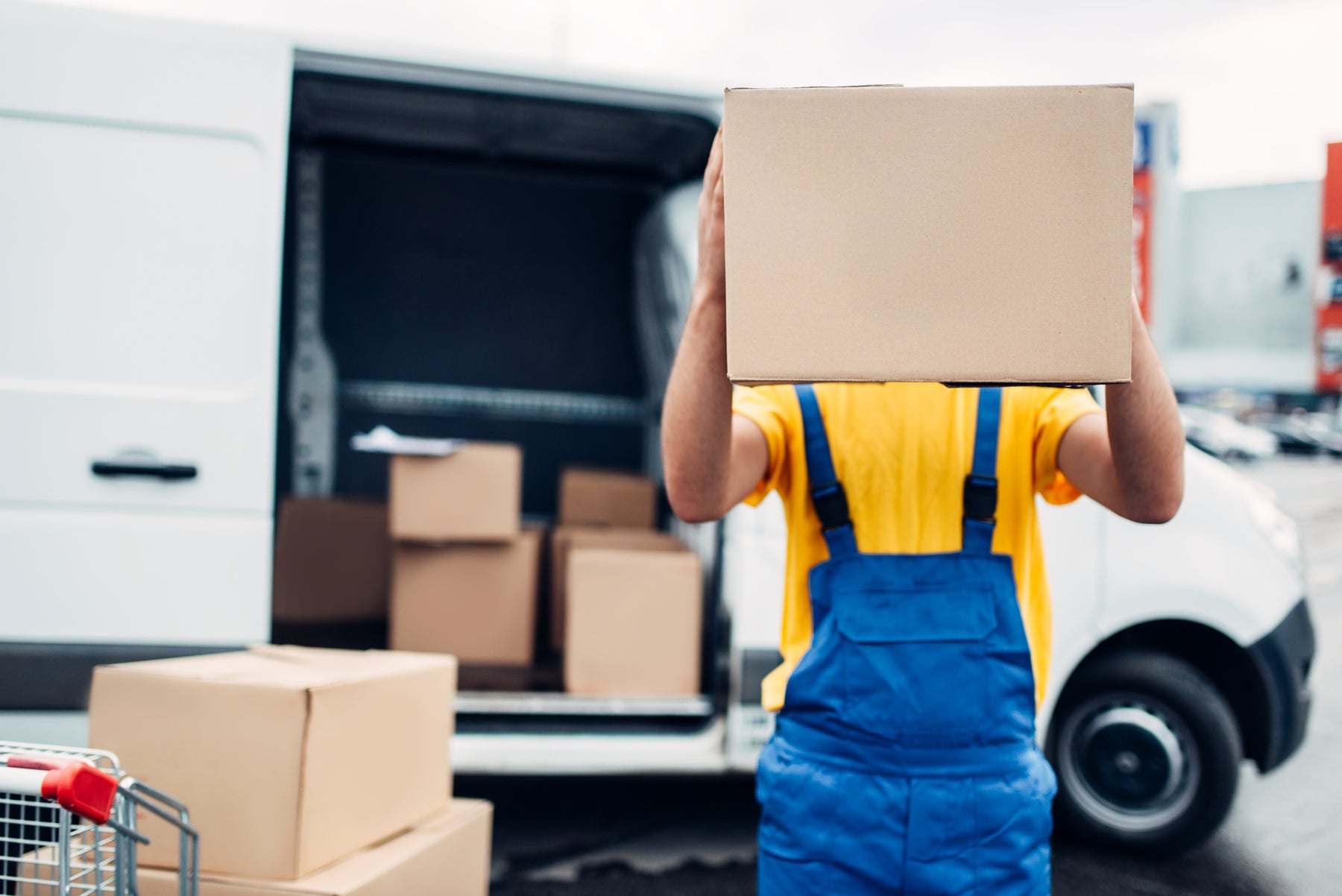 wholesale dispenser bulk order purchases